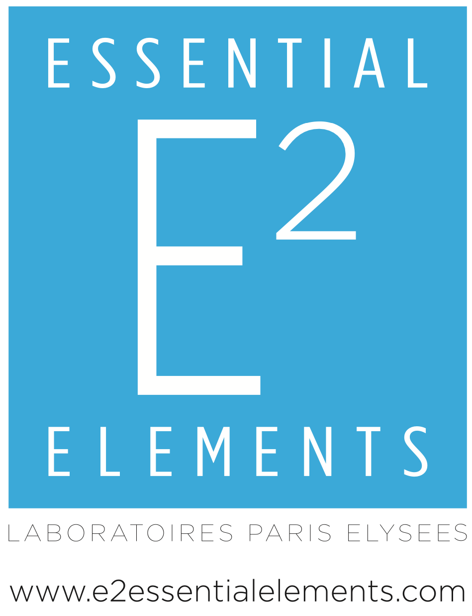 E2 Logo